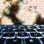 KillSec Ransomware Gang Exposed as Teen-Run Operation